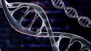 De nalatenschap van DNA-pionier Craig Venter