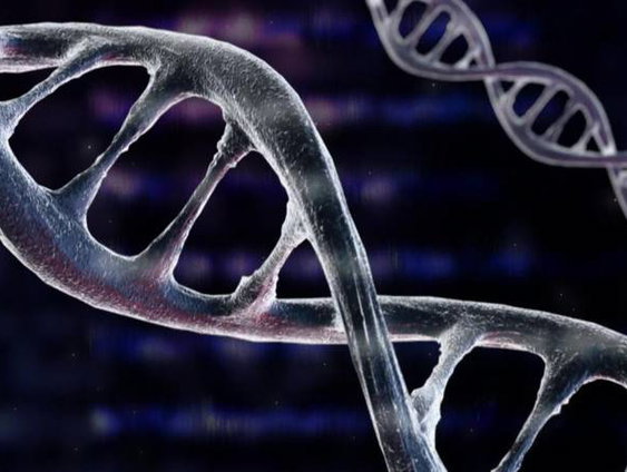 De nalatenschap van DNA-pionier Craig Venter