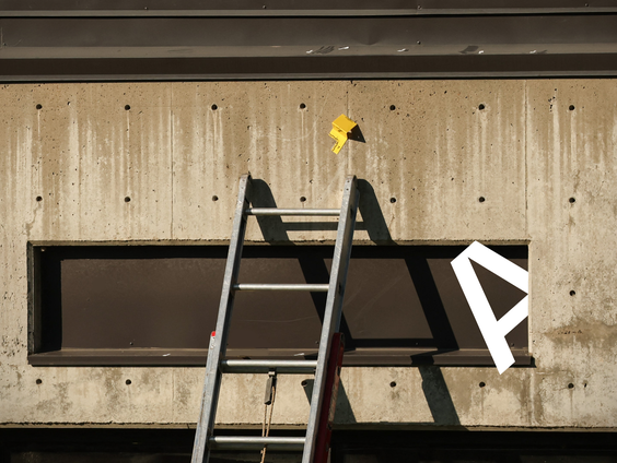 De visumtruc: vrijwilligers als verdienmodel