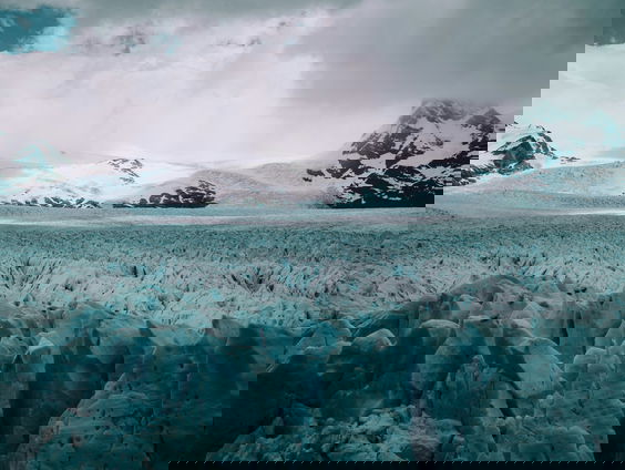 Welke nieuwe diersoorten zijn ontdekt onder Antarctica?