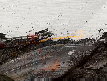 Vuursalamanders op First Date