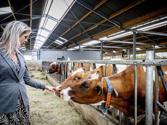 Duurzaam blijven groeien