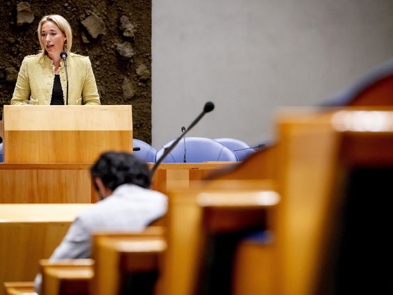 Kamer wil nieuwe wet waarbij vrouwen informatie krijgen over gewelddadig verleden van hun partner