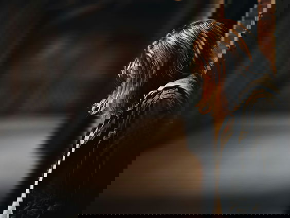 Moet er meldplicht komen bij vermoeden van huiselijk geweld?