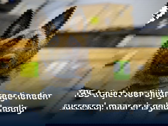 Geld nodig voor een eerlijk proces valse hond