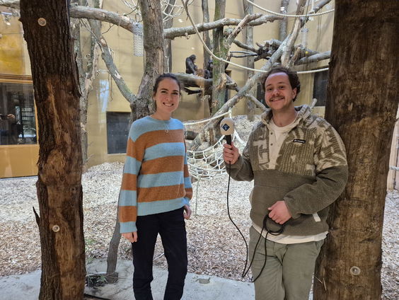 Achter de ogen van een Chimpansee gaat een wereld vol emoties schuil