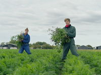 Tv-programma Buddybuddy toont de wereld van betrokken, jonge vrijwilligers