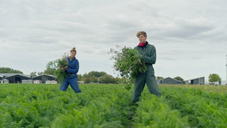Tv-programma Buddybuddy toont de wereld van betrokken, jonge vrijwilligers