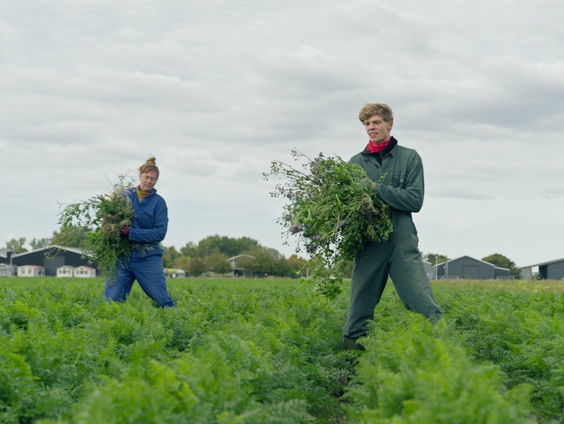 Tv-programma Buddybuddy toont de wereld van betrokken, jonge vrijwilligers