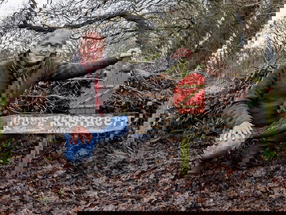 Jaap maakt van afgedankte kerstbomen natuurvriendelijke wallen