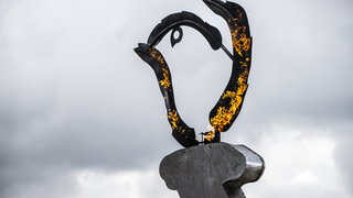 Internationaal recht als thema in de Haagse Vrijheidsweken