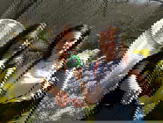 Hommels in het voorjaar: zo houd je ze uit elkaar