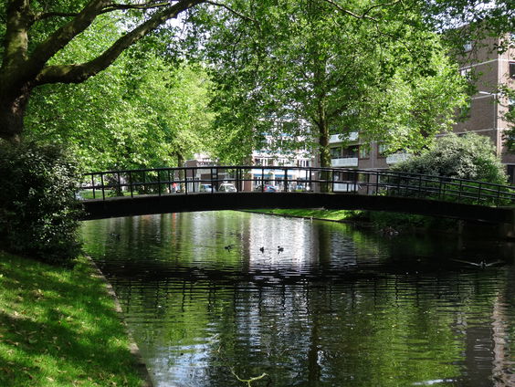 De kortste spreekbeurt: Rotterdam Kralingen-Crooswijk