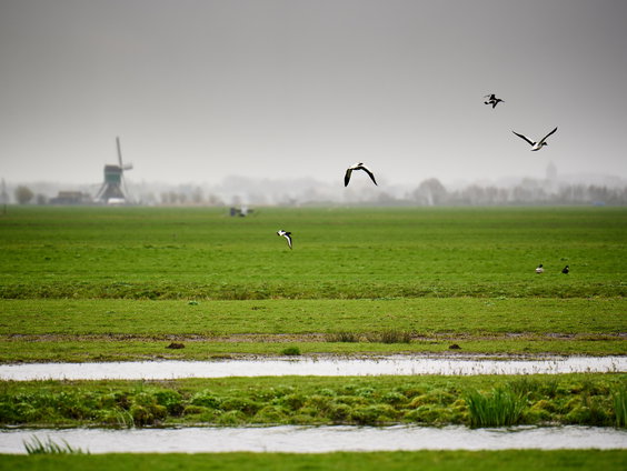 Wat het platteland nodig heeft, maar vooral wat het kan bieden
