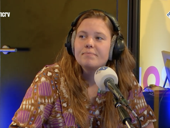 De Groot Dictee-zomerquiz