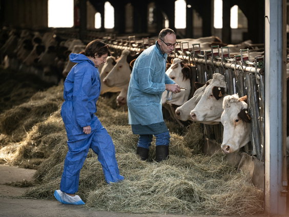 25 jaar na de mond-en-klauwzeer-crisis