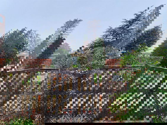 Hortus Botanicus Leiden viert 500 jaar Carolus Clusius