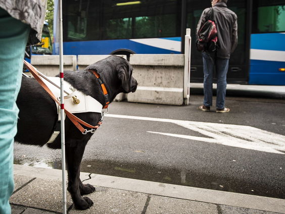 Helft bushaltes niet toegankelijk voor mensen met een motorische beperking