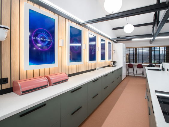 Wat was de 1ste reality-TV serie?