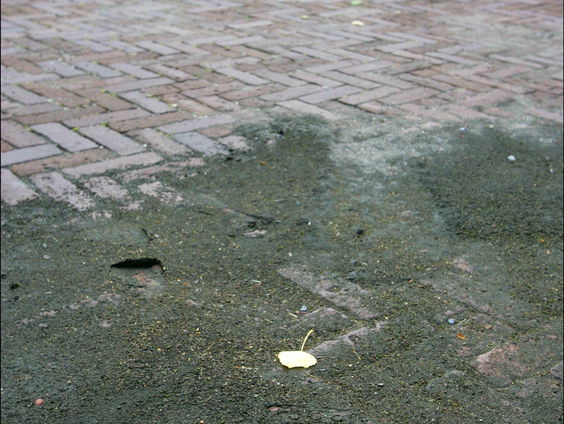 Onderzoeksbureau Old Cold Cases lost verjaarde moordzaken op