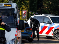 Waar kwam het geweld in Overasselt vandaan?
