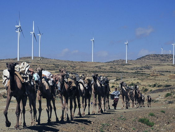 Rapport Greenpeace: Europa gebruikt Noord-Afrika om haar energievoorziening te greenwashen