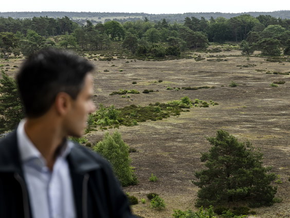 Kabinet komt met ingrijpende stikstofplannen, onder meer zones rond natuurgebieden