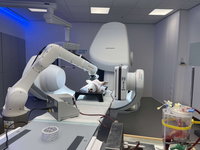 Zo boorden ze in Twente voor het eerst ooit met een magnetische robot in een schapenbrein