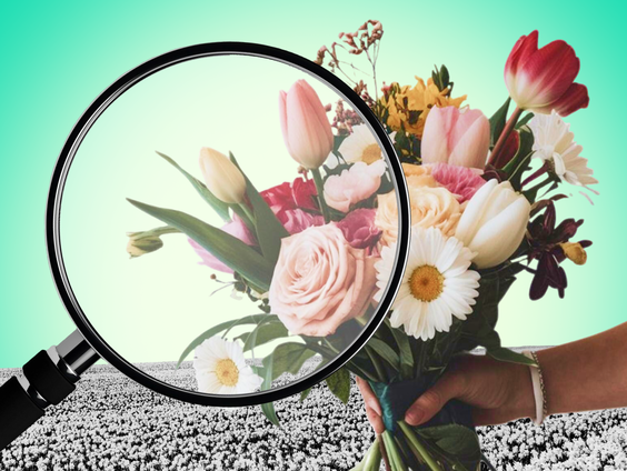 Duurzame bloemen maar niet biologisch