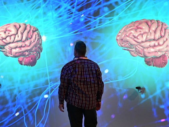 Hoe werkt nieuwsgierigheid precies in ons brein?