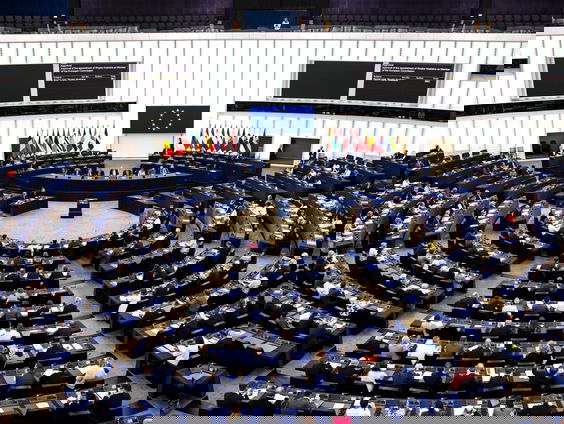 De Vraag aan Europa: Welk belang vertenwoordig je in het Europees parlement?