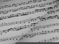 Muziek blijkt een kerncapaciteit van de mens