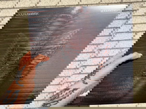 Lucas Hamming over zijn nieuwe album 'Moodswings'