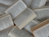 De betekenis van het begrip Noaberschap, toen & nu
