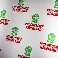 PRO moet kiezen bij welke Europese familie ze willen horen