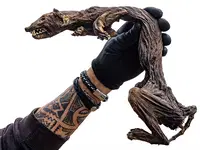 Dierenmummies van eigen bodem