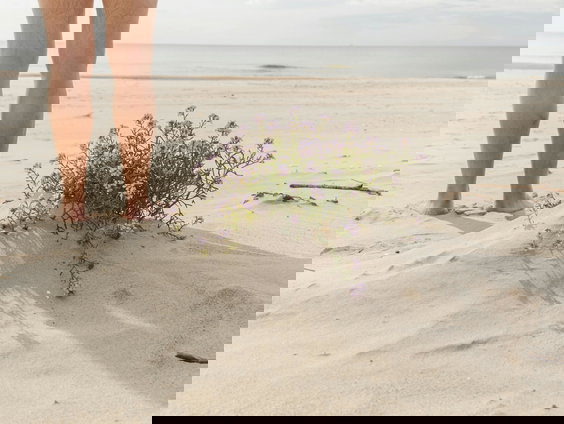 Hoe verhouden de huidige jongeren zich tot naturisme?