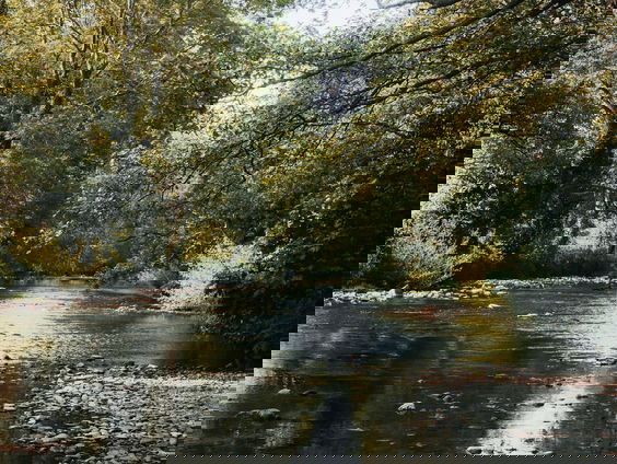 Johan Wulms voer met collega's drie dagen in een prehistorische kano