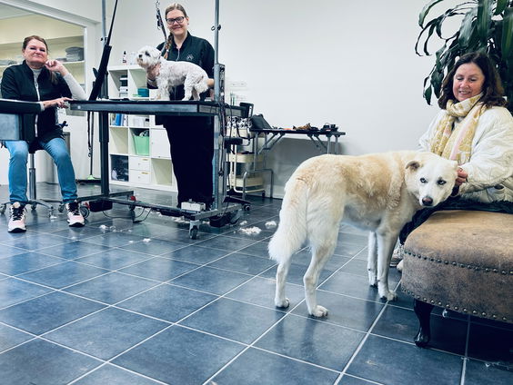 Beppie redt vanuit Nederland honden in Turkije