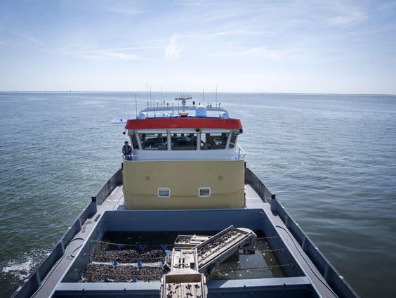 Op de bres voor de Doggersbank