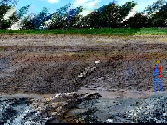 Bewijs voor massale uitstervingsgolf gevonden in Winterswijk