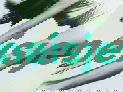 'Als meisjes stoer zijn' De emancipatiegeschiedenis van Rita-Törnqvist Verschuur'