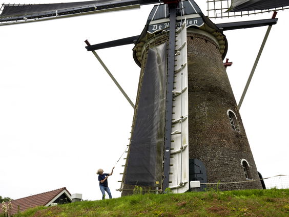 Waarom Paul Groen besloot eigenhandig een molen te bouwen