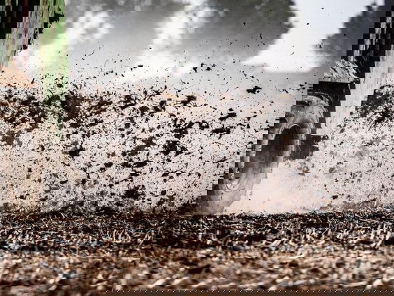 Streep door stikstofaanpak  provincies