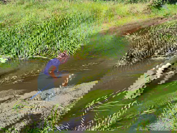 Internationale aandacht voor de Dommel