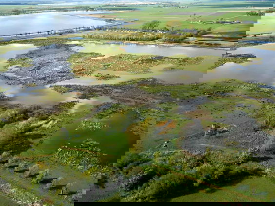 10 jaar ’t Roegwold: helende wielewaal