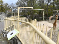 Maken nieuwe regels dierentuinen diervriendelijker?