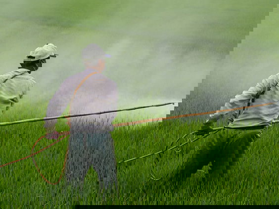 Het pesticidenparadijs: een woud van lobby, misleiding en vervuiling