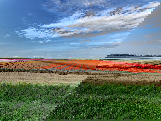 Marijke F. Jansen brengt een ode aan Dronten