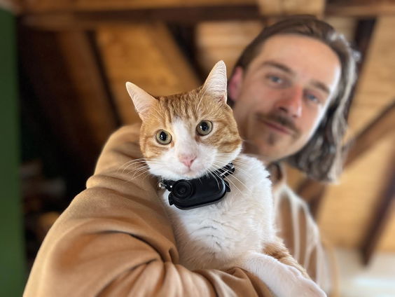 Ontmoet Ros, de kat met een miljoen abonnees op YouTube.